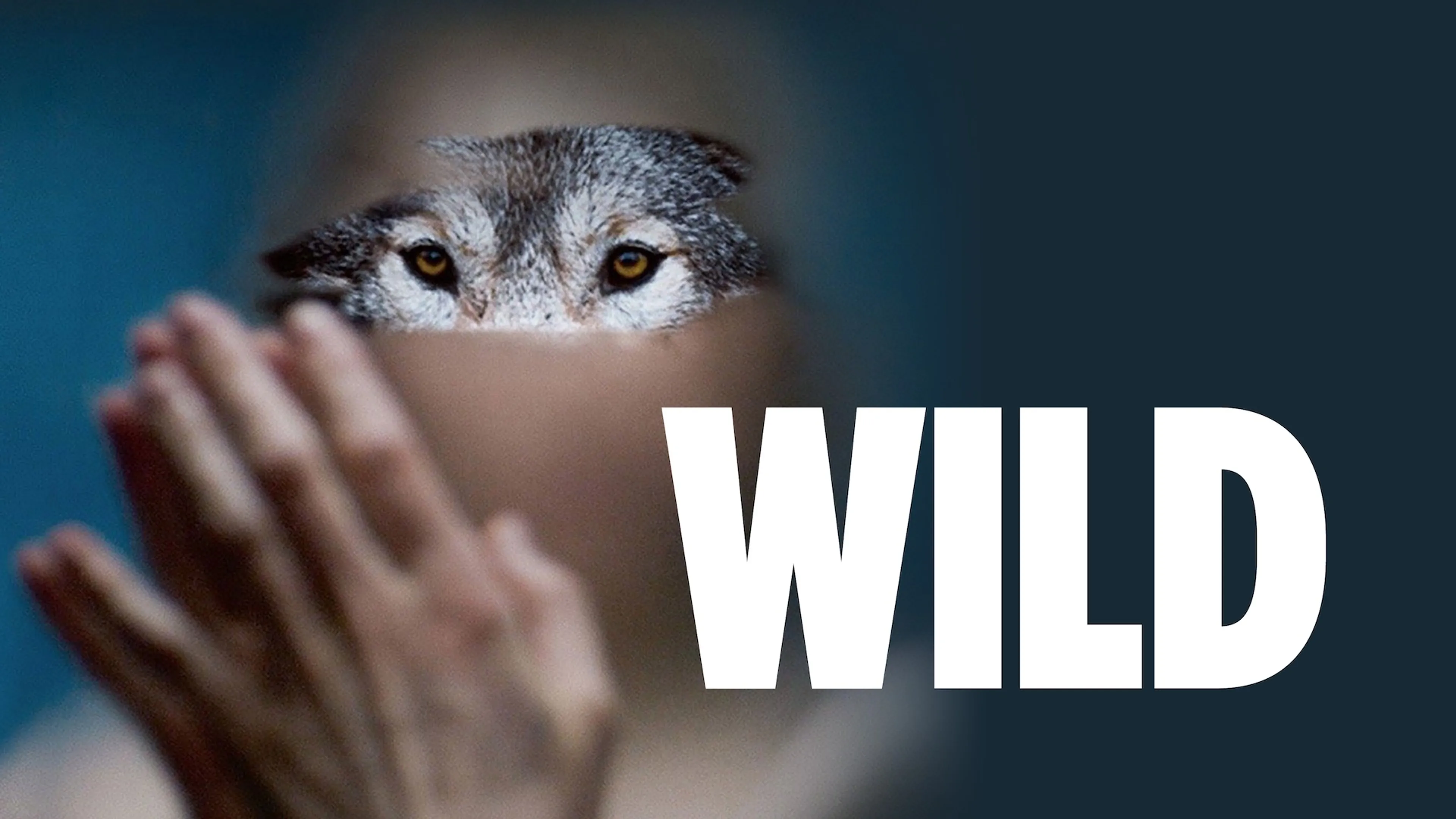 Wild poster